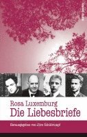 bokomslag Rosa Luxemburg: Die Liebesbriefe