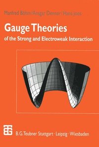 bokomslag Gauge Theories of the Strong and Electroweak Interaction