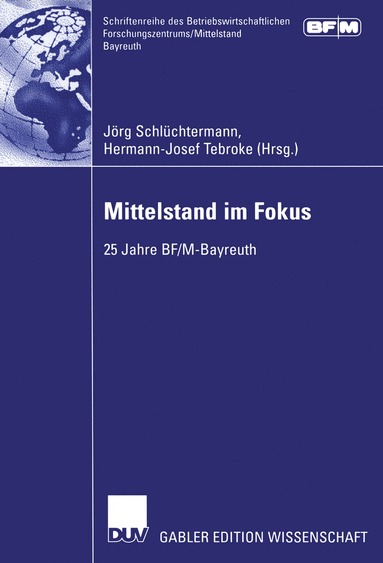 bokomslag Mittelstand im Fokus