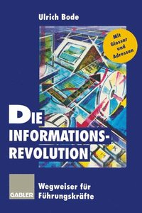 bokomslag Die Informationsrevolution