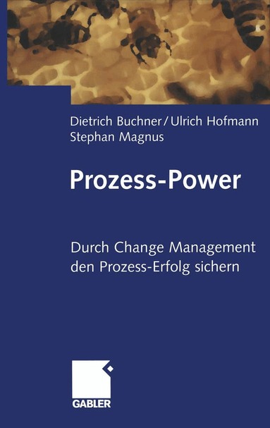 Dietrich Buchner, Ulrich Hofmann, Stephan Magnus - Prozess-Power, Häftad