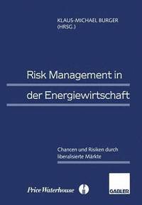 bokomslag Risk Management in der Energiewirtschaft