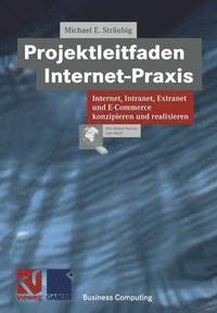 bokomslag Projektleitfaden Internet-Praxis