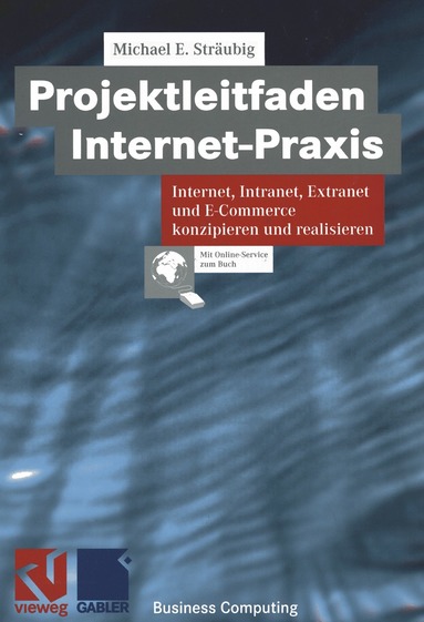 Michael Sträubig - Projektleitfaden Internet-Praxis, Häftad