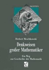 bokomslag Denkweisen groer Mathematiker