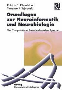 bokomslag Grundlagen zur Neuroinformatik und Neurobiologie