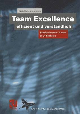 bokomslag Team Excellence Effizient und Verständlich