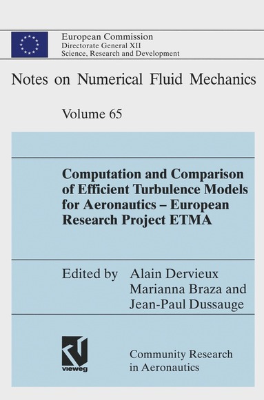 Alain Dervieux, Marianna Braza, Jean-Paul Dussauge - Computation and Comparison of Efficient Turbulence Models for Aeronautics — European Research Project ETMA, Häftad