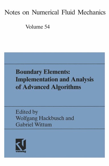 Wolfgang Hackbusch, Gabriel Wittum - Boundary Elements: Implementation and Analysis of Advanced Algorithms, Häftad