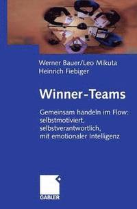 bokomslag Winner-Teams
