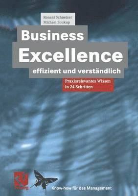 bokomslag Business Excellence effizient und verstndlich