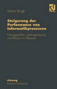 bokomslag Steigerung der Performance von Informatikprozessen