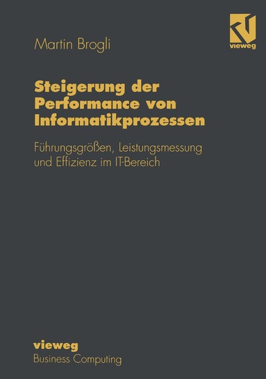 Steigerung der Performance von Informatikprozessen, Häftad