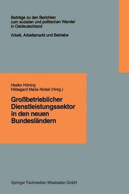 bokomslag Grobetrieblicher Dienstleistungssektor in den neuen Bundeslndern