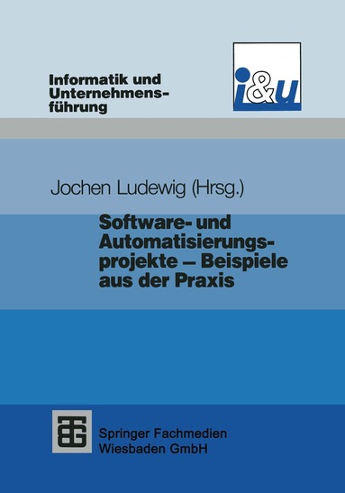 Jochen Ludewig - Software- und Automatisierungsprojekte — Beispiele aus der Praxis, Häftad