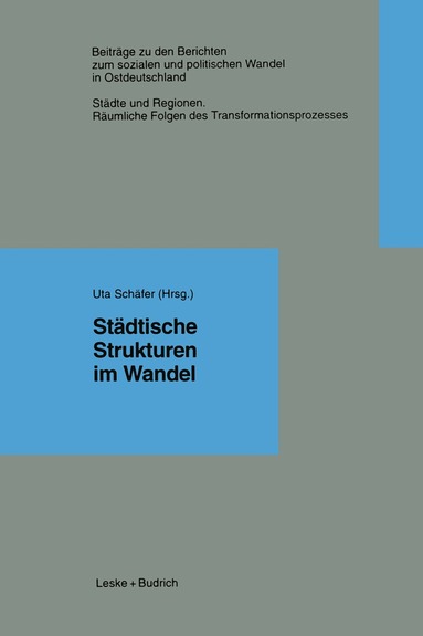 Uta Schäfer - Städtische Strukturen im Wandel, Häftad
