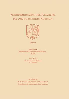 Rudolf Schenck, Rudolf Schenck - Bedingungen und Gang der Kohlenhydratsynthese im Licht / Die Endstufen des Stoffabbaues im Organismus, Häftad