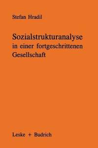 bokomslag Sozialstrukturanalyse in einer fortgeschrittenen Gesellschaft