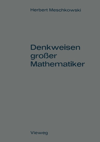 bokomslag Denkweisen groer Mathematiker