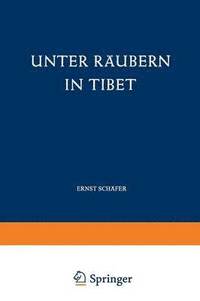 bokomslag Unter Rubern in Tibet