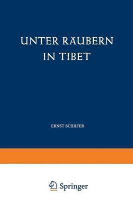 bokomslag Unter Rubern in Tibet