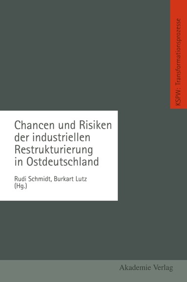 Rudi Schmidt, Burkart Lutz - Chancen und Risiken der industriellen Restrukturierung in Ostdeutschland, Häftad