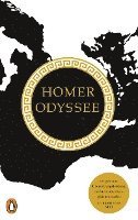 Homer - Odyssee, Häftad