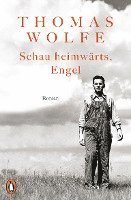 Thomas Wolfe - Schau heimwärts, Engel, Häftad