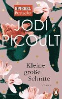 Jodi Picoult - Kleine große Schritte, Häftad