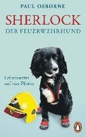 bokomslag Sherlock, der Feuerwehrhund