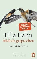 Ulla Hahn - Bildlich gesprochen, Häftad
