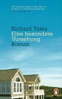 Richard Yates - Eine besondere Vorsehung, Häftad