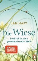 Die Wiese 1