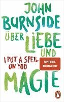 bokomslag Über Liebe und Magie - I Put a Spell on You