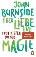 John Burnside - Über Liebe und Magie - I Put a Spell on You, Häftad