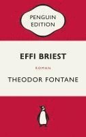 bokomslag Effi Briest