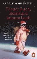 bokomslag Freuet Euch, Bernhard kommt bald!