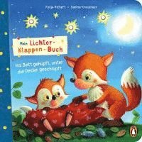 Katja Richert - Mein Lichter-Klappen-Buch - Ins Bett gehüpft, unter die Decke geschlüpft, Kartonnage