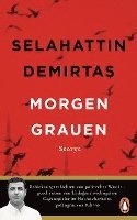 Selahattin Demirtas - Morgengrauen, Inbunden