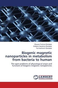 bokomslag Biogenic magnetic nanoparticles in metabolism from bacteria to human