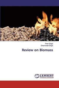 bokomslag Review on Biomass