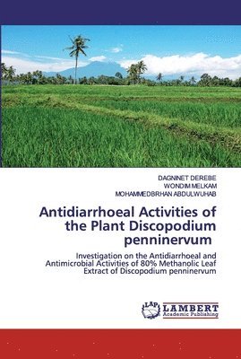 Antidiarrhoeal Activities of the Plant Discopodium penninervum 1