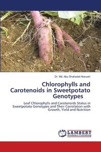 bokomslag Chlorophylls and Carotenoids in Sweetpotato Genotypes