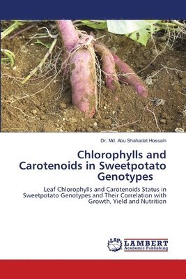 Chlorophylls and Carotenoids in Sweetpotato Genotypes 1