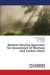 bokomslag Remote Sensing Approach for Assessment of Biomass and Carbon Stock