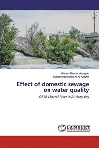 bokomslag Effect of domestic sewage on water quality