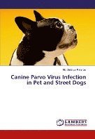 bokomslag Canine Parvo Virus Infection in Pet and Street Dogs