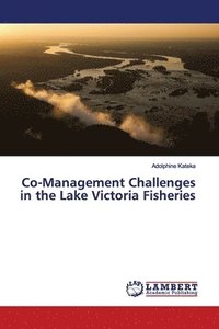 bokomslag Co-Management Challenges in the Lake Victoria Fisheries
