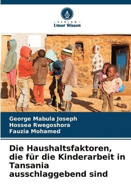 George Mabula Joseph, Hossea Rwegoshora, Fauzia Mohamed - Haushaltsfaktoren, die für die Kinderarbeit in Tansania ausschlaggebend sind, Häftad