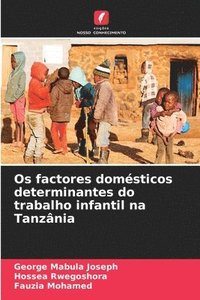 bokomslag Os factores domsticos determinantes do trabalho infantil na Tanznia